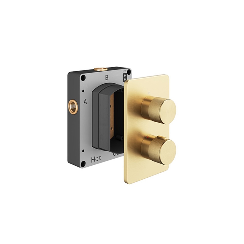 Product Cut out image of the Abacus Iso Pro Brushed Brass 1 Outlet 2 Handle Thermostatic Shower Valve